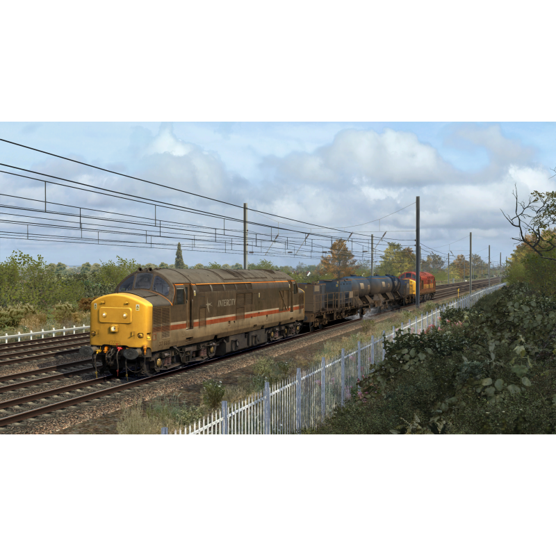 RHTT Wagon Pack