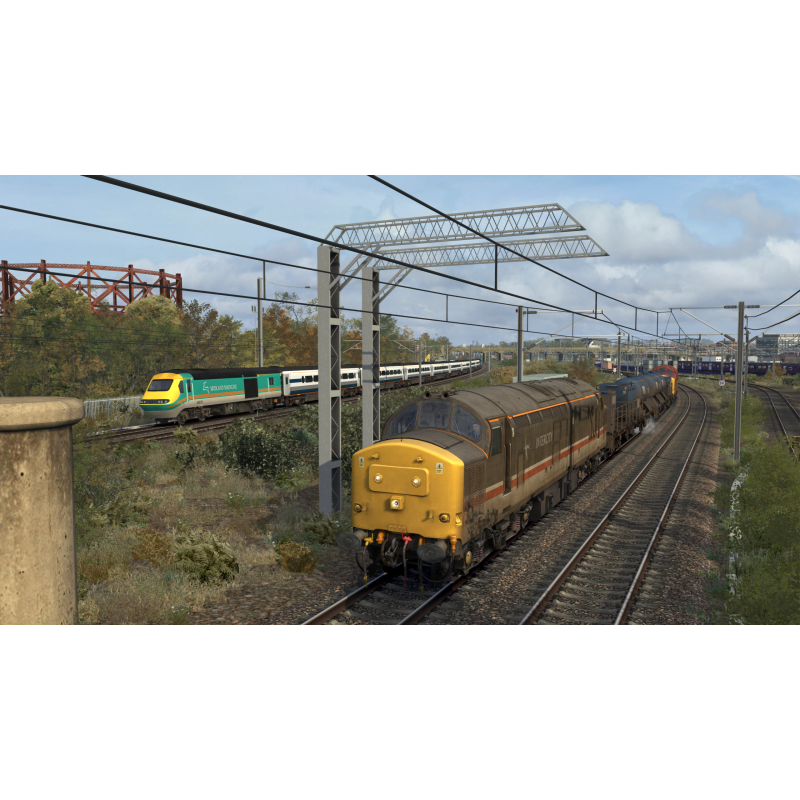 RHTT Wagon Pack