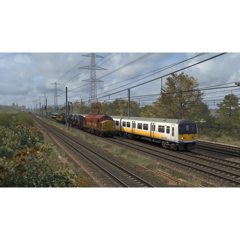 RHTT Wagon Pack