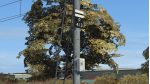 Signal Enhancement Pack