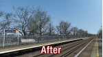 Vegetation Enhancement Pack