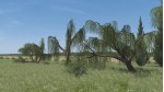 Vegetation Enhancement Pack