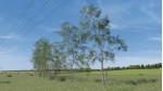 Vegetation Enhancement Pack