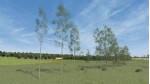 Vegetation Enhancement Pack