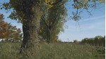 Vegetation Enhancement Pack