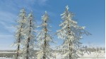 Vegetation Enhancement Pack