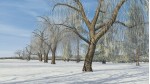 Vegetation Enhancement Pack